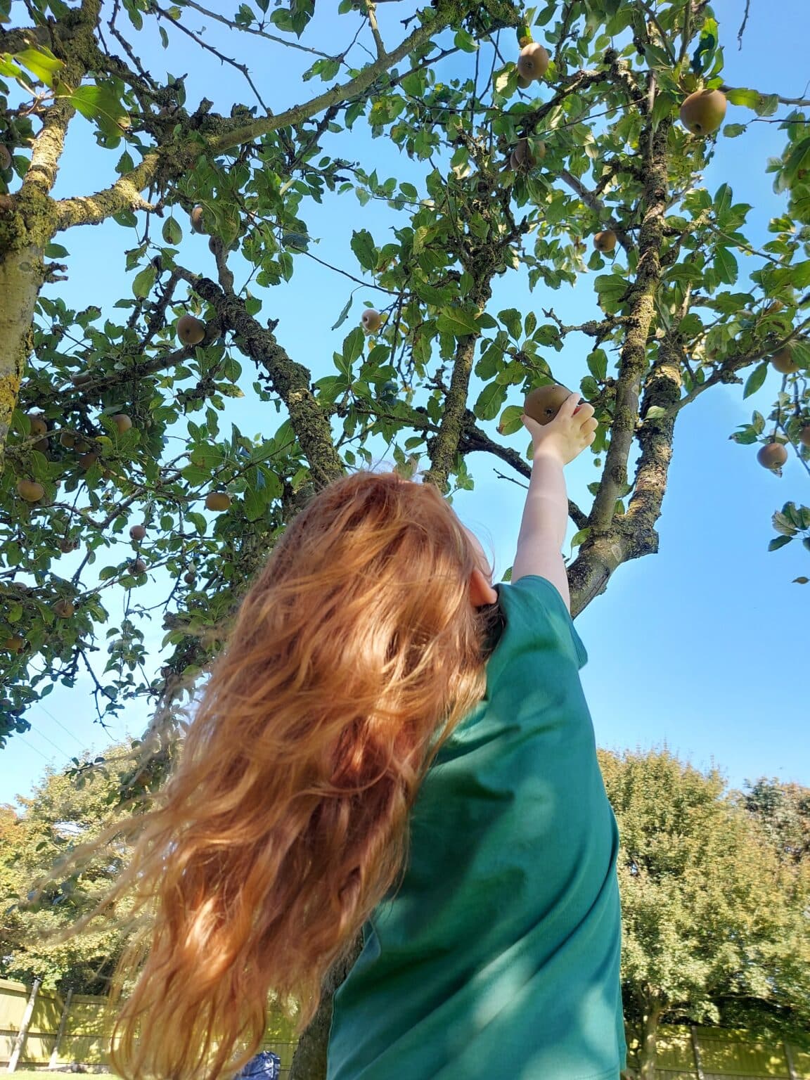 Tina - GinGingers Founder, UK