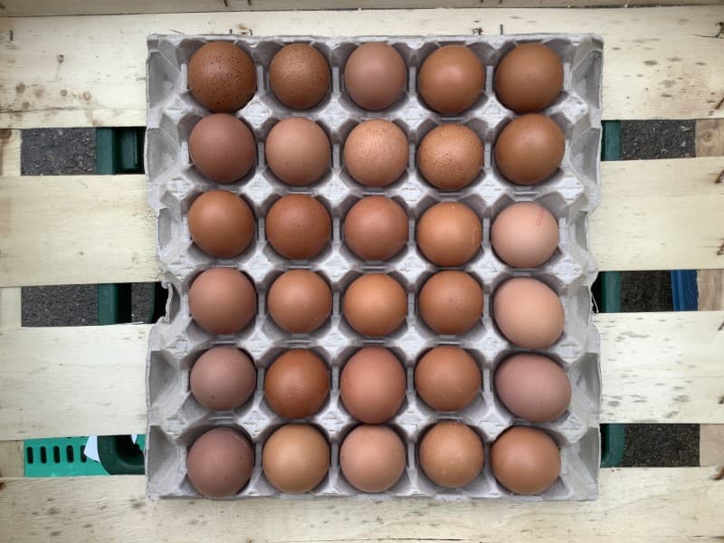 180 Large Eggs